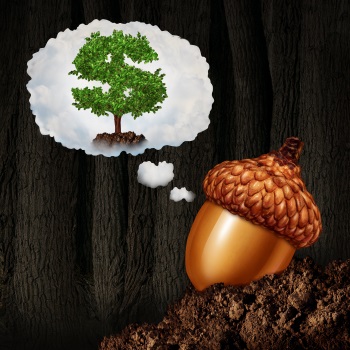 Grow your tree, why do you need a business plan?