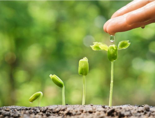 Getting the right Marketing Consultants